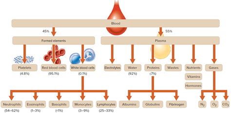 Components Of Whole Blood