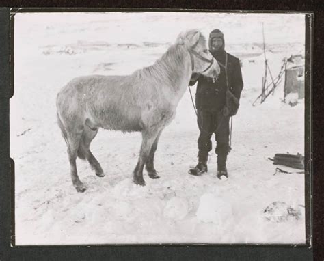 100-Year Old Photos Reveal The Dark Side Of Antarctic Exploration