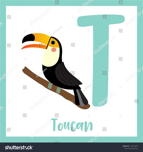 Cute Children Abc Animal Zoo Alphabet Vector De Stock Libre De