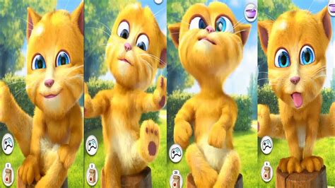 Talking Tom Talking Ginger Funny Fight Video 😜😜tomcat Funny Youtube