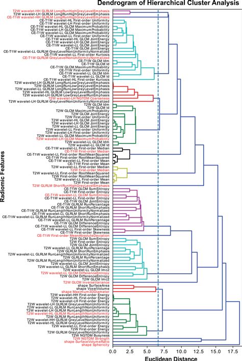 Dendrogram Of Hierarchical Cluster Of Radiomic Features The Dotted Download Scientific Diagram