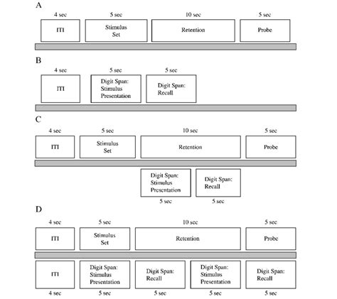 Schematic Presentation Of The Delayed Visual Recognition Task Dvrt