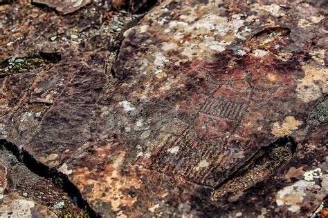 Imagem Da Caça Antiga Na Parede Do Ocre Da Caverna Arte Hist rica