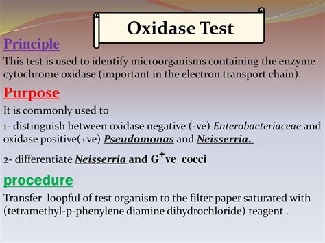 Oxidase Test Principle Procedure Types Results Uses 52 OFF