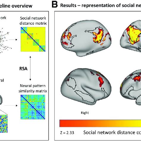 The Default Mode Network Represents Social Network Distance Download Scientific Diagram