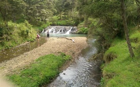 Discover the Breathtaking Waikato Waterfalls - WaikatoNZ