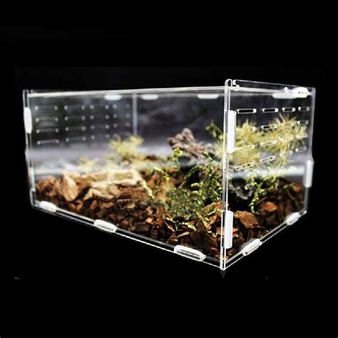 Transparent Acrylic Reptile Box For Spiders Tortoi Grandado