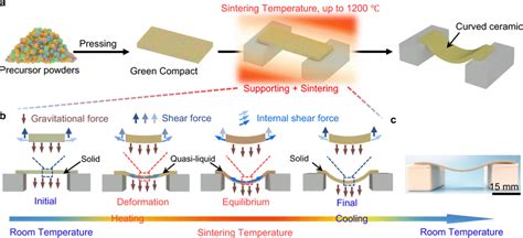 Gravity Driven Sintering Gds Process And Setup For The Ceramic Download Scientific Diagram