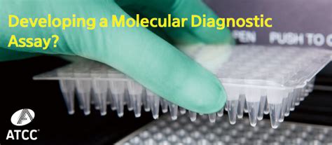 Atcc Molecular Diagnostic Assay 개발에 힘이 되어 드립니다