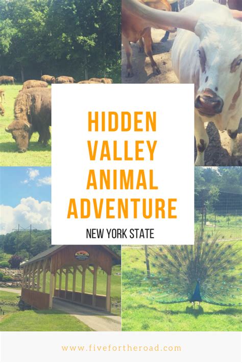 Hidden Valley Animal Adventure Park Review and Tips | Adventure park ...