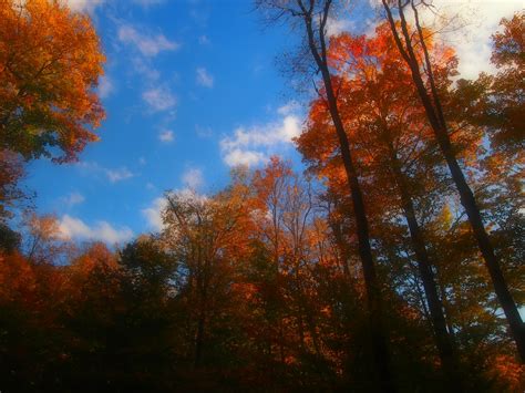 On Hiking and Happiness: World's End State Park