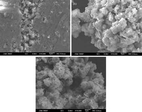 Sem Images Of Sns Products Synthesized At Different Temperatures A