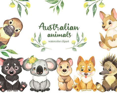 Australian Animals Clipart