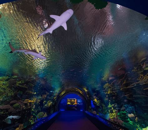 New York Aquarium