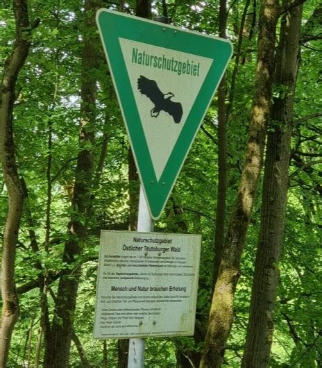 Wandern Im Teutoburger Wald Gestatten Dr Nerd Gefahrensucher