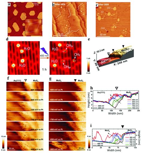 STM Images Of CoO Bilayer Nanoislands On Au 111 In STM A The