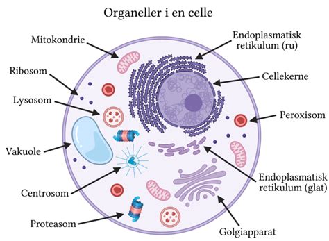 Celler Biotech Academy