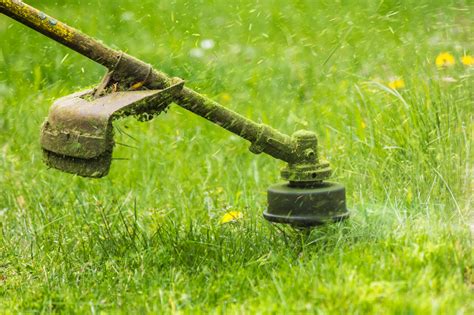 The Benefits Of Hiring A Professional Landscaper