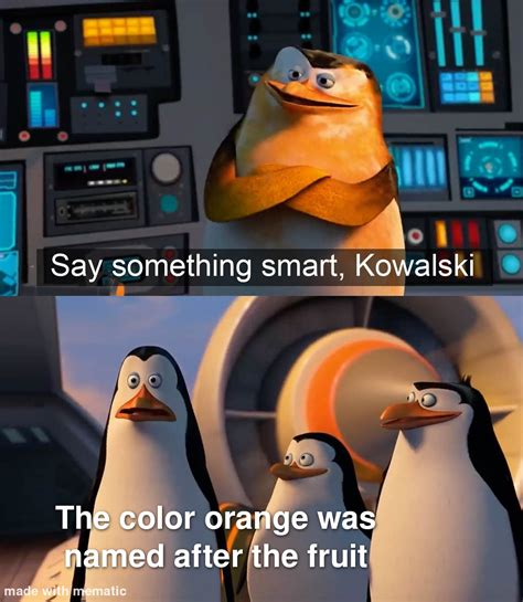 Kowalski, analysis : r/memes