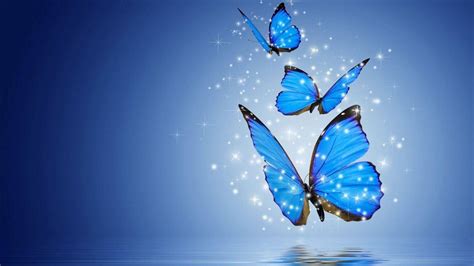 Animated Moving Blue Butterfly Wallpaper - canvas-ily