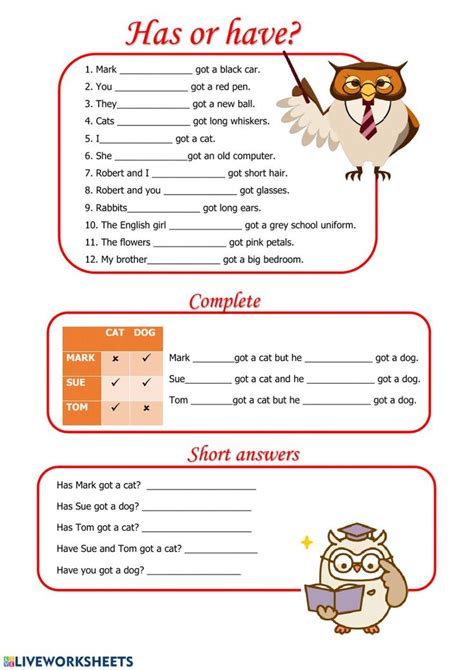 Have Has Got Exercises Elementary Have Got Worksheet