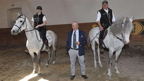 Siciliano Finalmente Cavallo Di Razza Cavallo Magazine