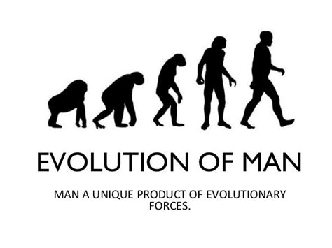 Printable Evolution Of Man Chart