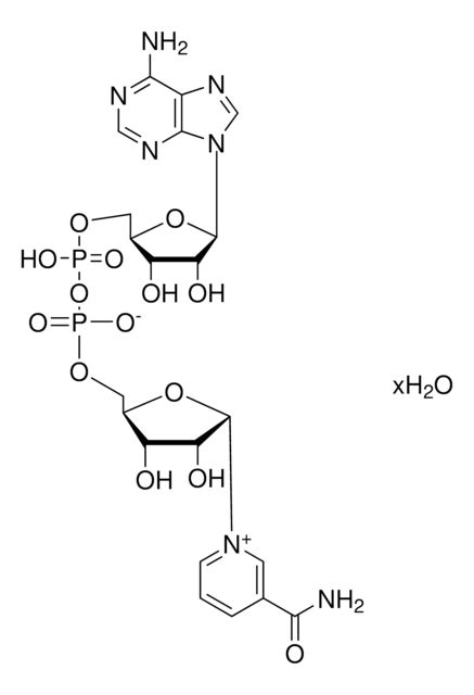 β Nicotinamide adenine dinucleotide phosphate sodium salt pkg of 5 mg