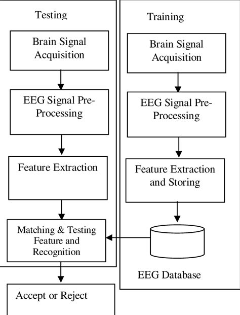 Block Diagram Of Proposed System Eeg Database The Database Of Criminal Download Scientific