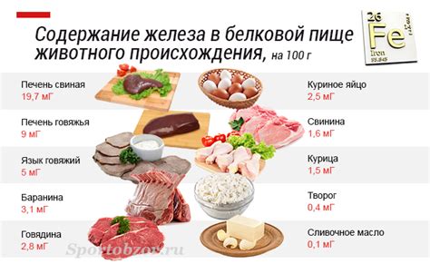 Нехватка железа в организме, продукты богатые железом при анемии ...