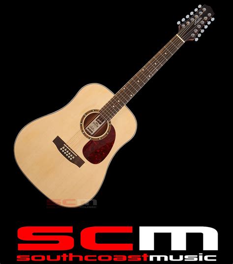 ASHTON D25 / 12 MKII 12 STRING ACOUSTIC GUITAR – South Coast Music