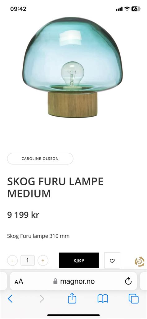 Magnor Skog Furu Lampe Finn Torget