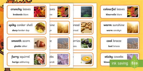 Autumn Senses Word Cards Englishafrikaans