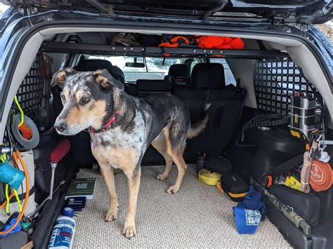 4runner Molle Panel Shelf 5th Gen Rago Fabrication