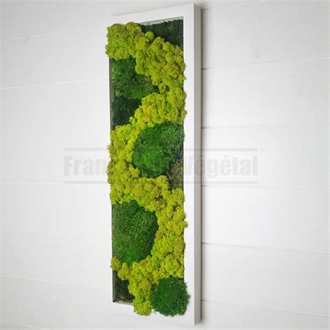 Tableau végétal stabilisé Mousse Lichen 60x20cm MonJardinVertical fr