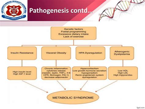 Ppt Metabolic Syndrome Powerpoint Presentation Free Download Id 6363000