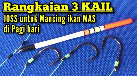 Rangkaian Pancing 3 Kail Untuk Mancing Ikan Mas Tombro DiPagi Hari