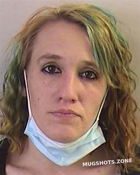 PORTER ANGELINA KAY 02 20 2021 Dickinson County Mugshots Zone