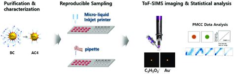 Work Flow Of Ligand Conjugated Nanoparticle Analysis The Extent Of Download Scientific Diagram