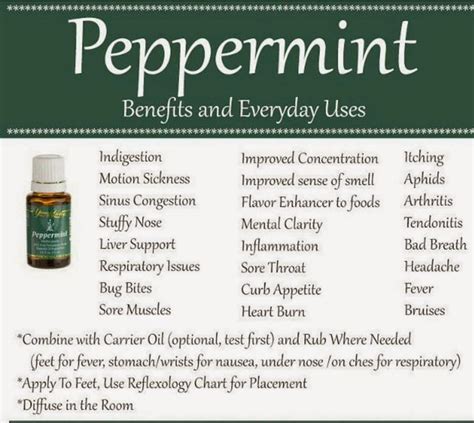 Memories of My Precious Life!!!: Young Living Essential Oil: Peppermint