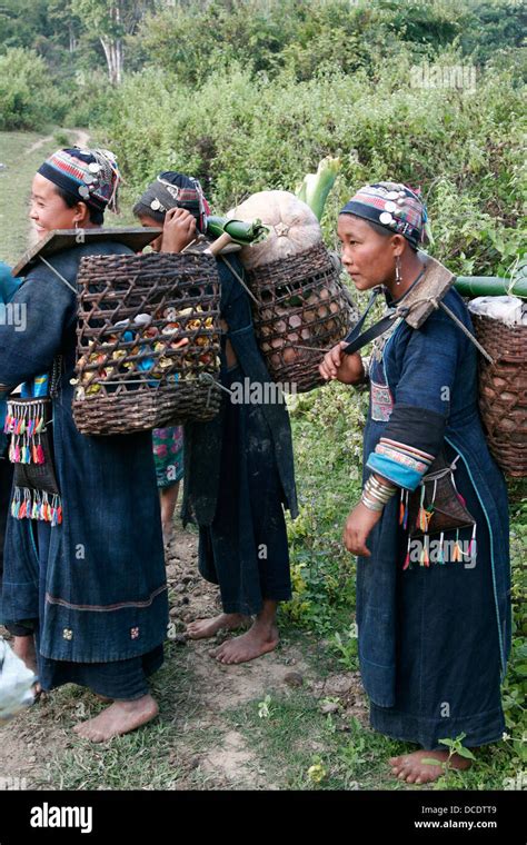 Ethnic Akha Women In Tribal Village Near Phongsali Laos Stock Photo