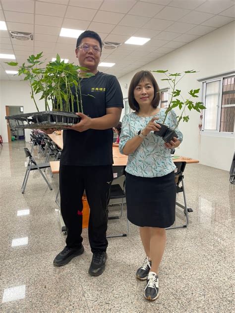 棒球教練林昱進轉換跑道栽植高品質木瓜 讓番路鄉農會綠色照顧站的爺奶看見不一樣的木瓜栽培法 爺奶漫步林青穠園 台灣華報