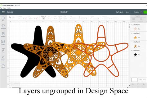 Layered Starfish Mandala 3D SVG And PNG 845041 Paper Cutting