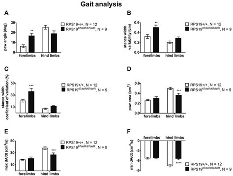 Analysis Of Gait Dynamics A Paw Angle Measurement B Stance Width