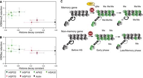 Histone Retention Preserves Epigenetic Marks During Heat Stressinduced