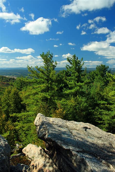 Fotos Gratis Paisaje Mar árbol Naturaleza Bosque Césped Rock