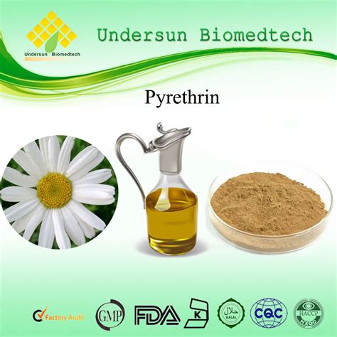 Natural Pyrethrum Flower Extract Powder Buy High Quality Nutural