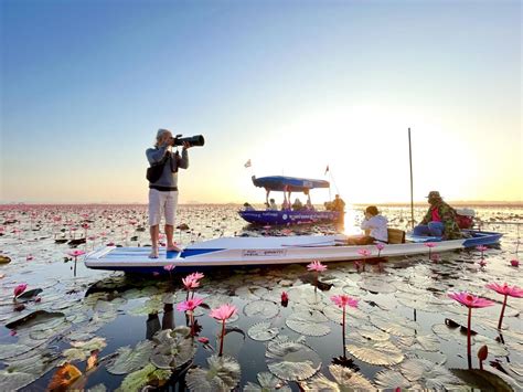 Bangkok Post The Lotus Sea