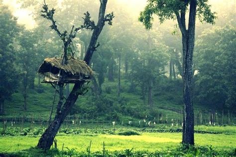 Tree Houses Which Is Called As ‘erumadam In Malayalam Is A House Built