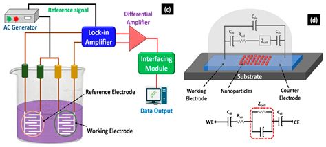 Biosensors Free Full Text Biosensors And Microfluidic Biosensors